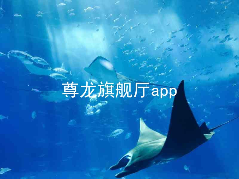 尊龙旗舰厅app